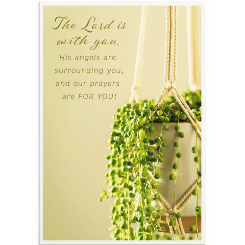 Simple Plants Encouragement Boxed Cards U0064
