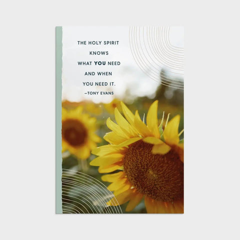 Tony Evans - Praying for You - 12 Boxed Cards and Envelopes U3102