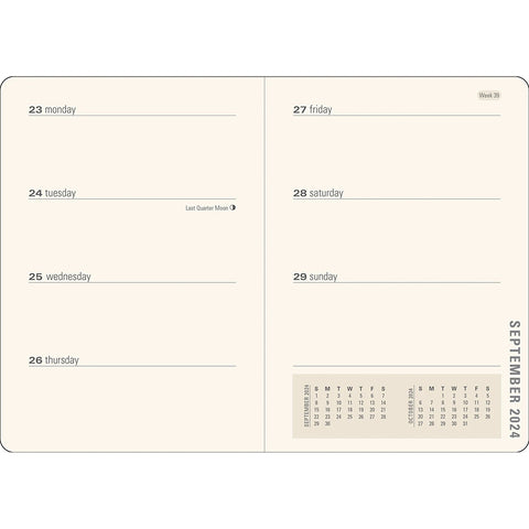 Weekly Layout