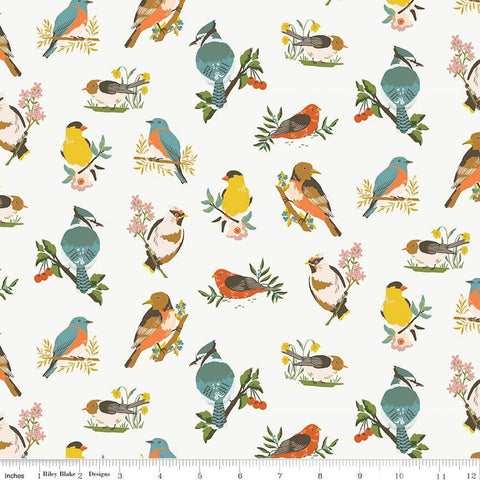 white, Winged Medley Collection Birds Cotton Fabric C15911
