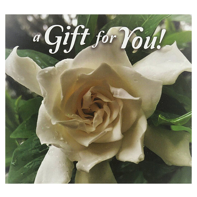 Good's Store Gift Card in a White Gardenia Holder