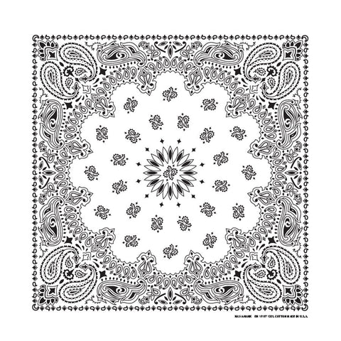 White Paisley Handkerchief