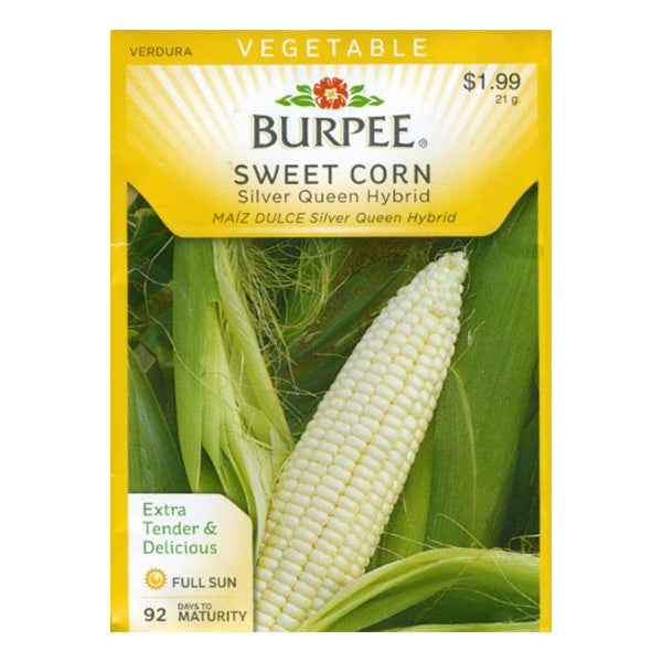 White Silver Queen Hybrid Corn Seed Pack 65664