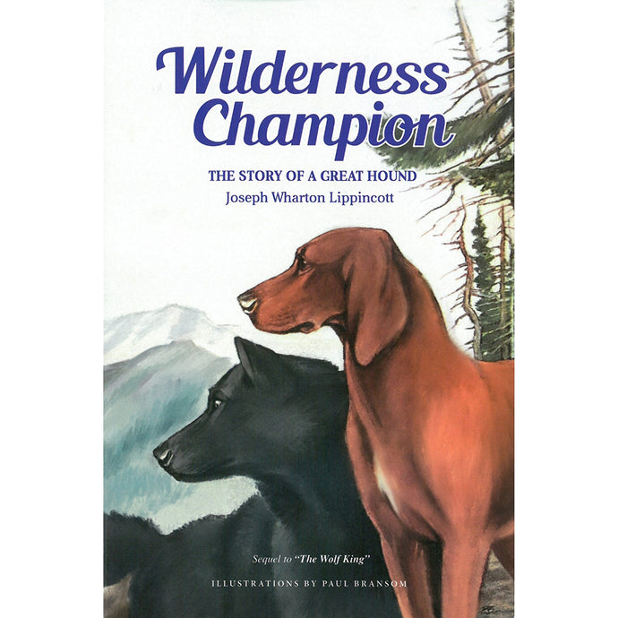 Wilderness Champion 9781597653121