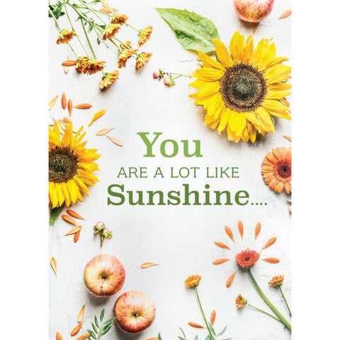 Front of Card 4: You are a lot like sunshine... sunflowers and apples