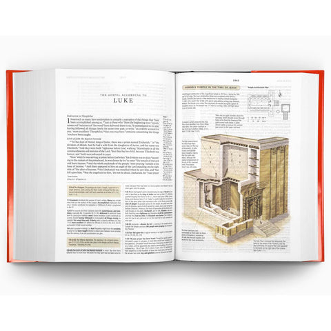 New Testament Example Pages
