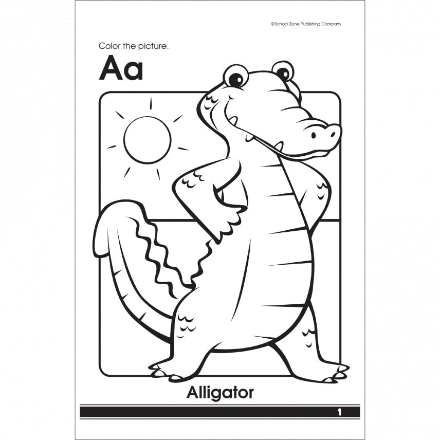 COOL ANIMALS & BIRDS coloring book for kids NO.2: Coloring Pages, Easy,  LARGE, GIANT Simple Picture Coloring Books for Toddlers, Kids Ages 6-8,  Presch (Paperback)