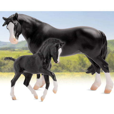 Nistar Blazing Kansas and Blazing Ethel 1857