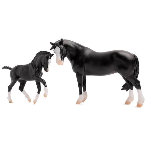 Nistar Blazing Kansas and Blazing Ethel 1857
