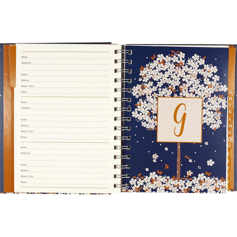 divider page