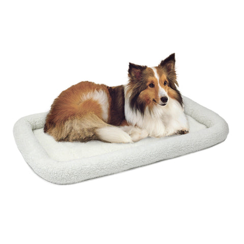 Collie dog on bed