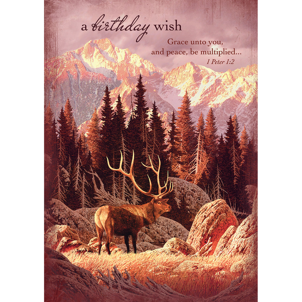 BIRTHDAY CARD & ENVELOPE BY FAITHFULLY YOURS, ELK IN FOREST - 1 PETER 1:2