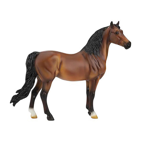 Bright Bay Morgan Horse 964