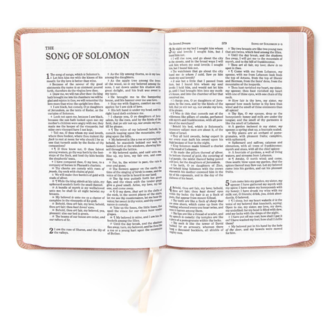 Inside of Bible