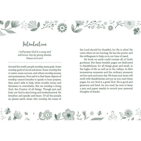 Everyday Gratitude Introduction