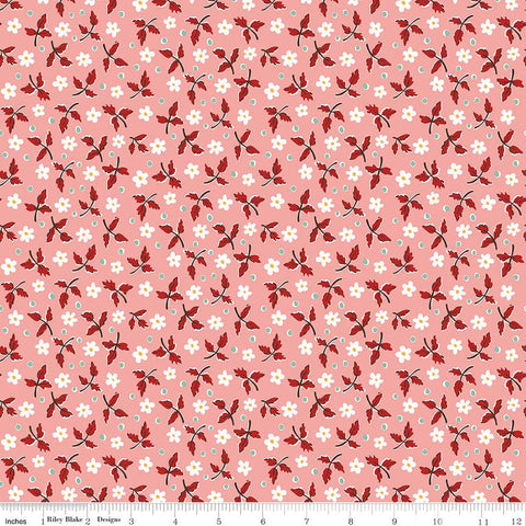 Prairie Dream Fabric C12300 Coral