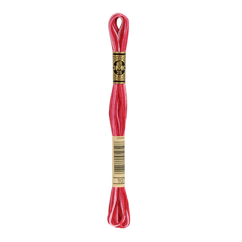 Variegated Carnation Embroidery Floss
