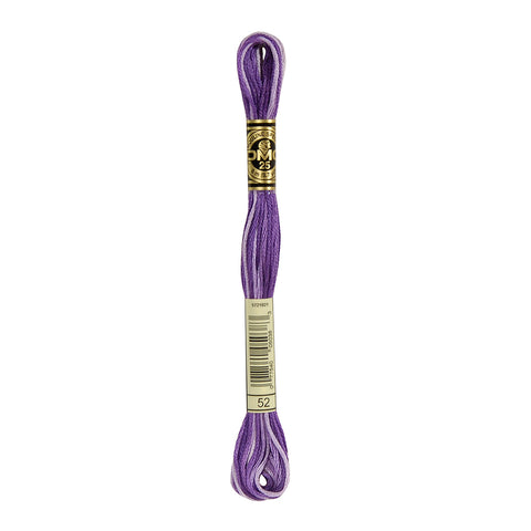 Variegated Violet Embroidery Floss