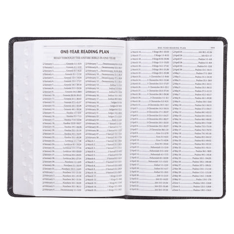 one-year Bible reading plans