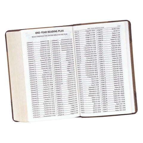 one-year Bible reading plan