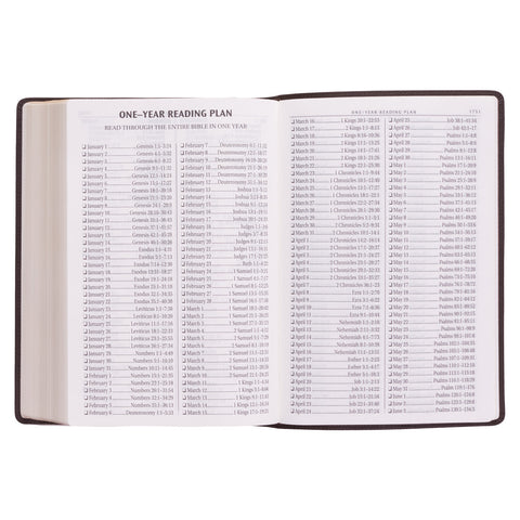 one-year Bible reading plan