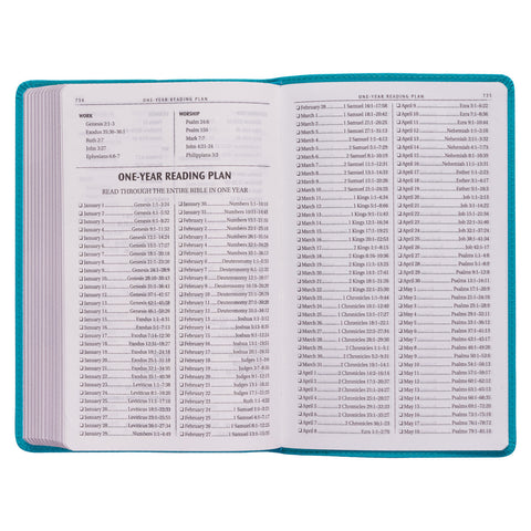 one-year Bible reading plan