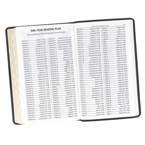 One-Year Bible Reading Plan
