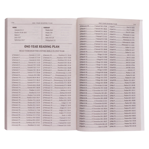 One Year Reading Plan