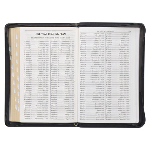 one-year Bible reading plan