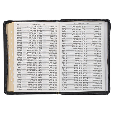 one-year Bible reading plan