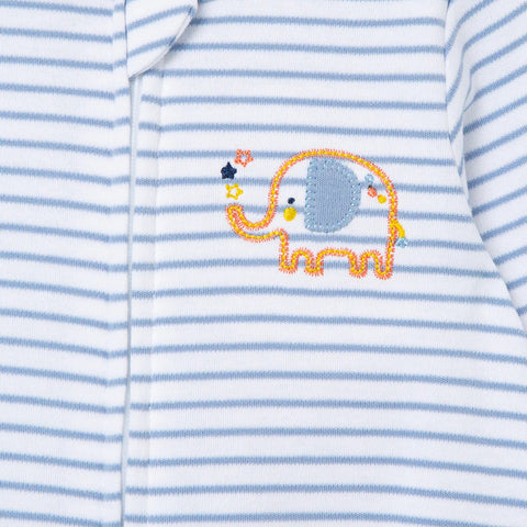 Elephant Detail