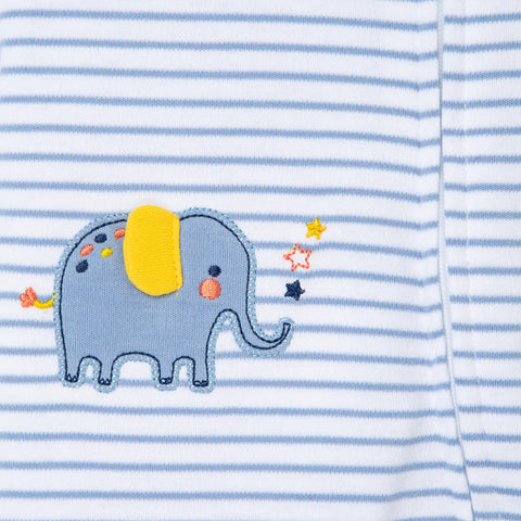 Elephant Detail