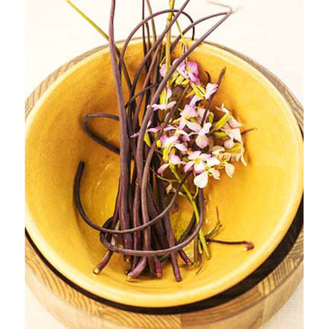Dragon's Tail radish pods in bowl