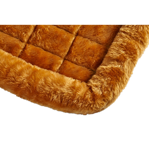 Corner of cinnamon pet bed