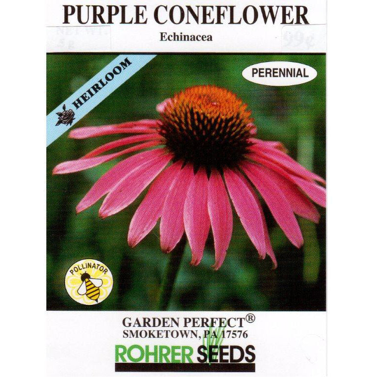 echinacea purple coneflower seeds Rohrer Echinacea Purple Coneflower Seeds 9931550 – Good's Store Online