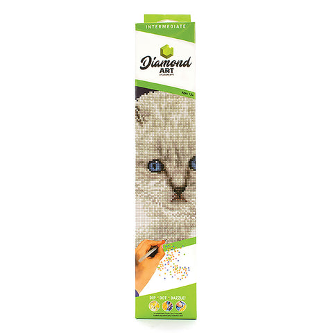 Front of Packaging