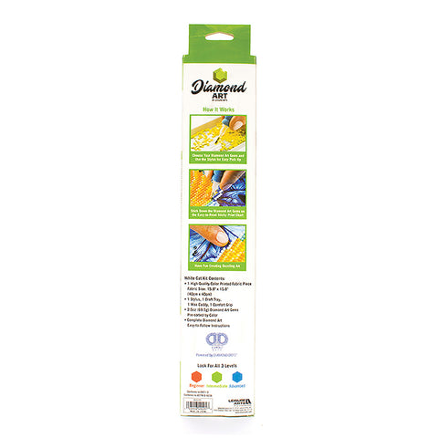 Back of Packaging