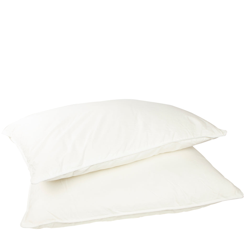 http://goodsstores.com/cdn/shop/products/down-feather-pillows-2_1024x1024.jpg?v=1656714159