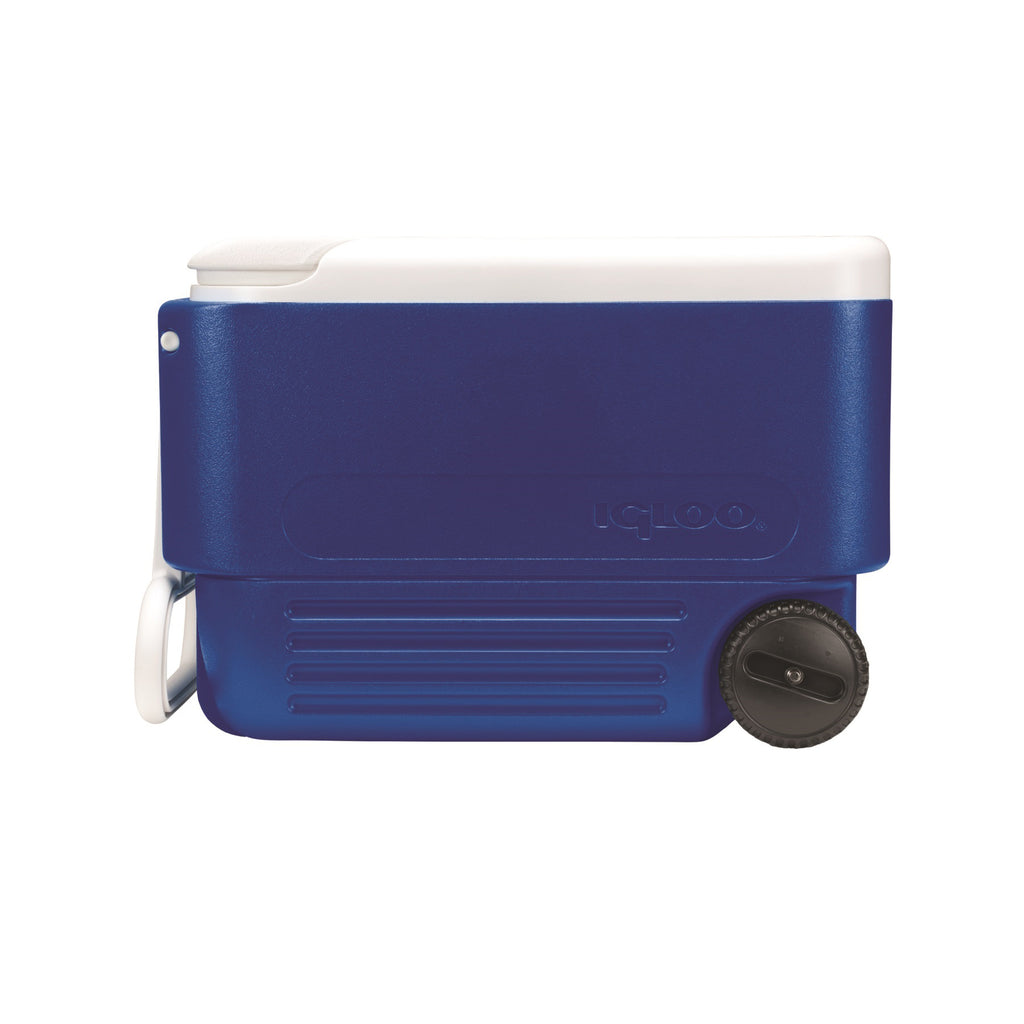 Igloo Active Portable Electric Cooler, 18-Qt, Blue