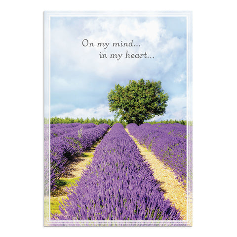 Praying for You - Landscapes - 12 Boxed Cards "On my mind...in my heart"