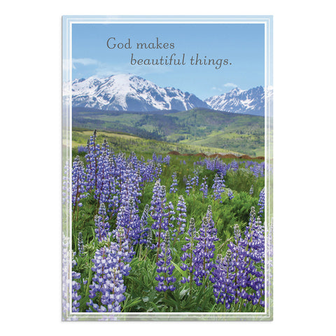 Praying for You - Landscapes - 12 Boxed Cards "God makes beautiful things"