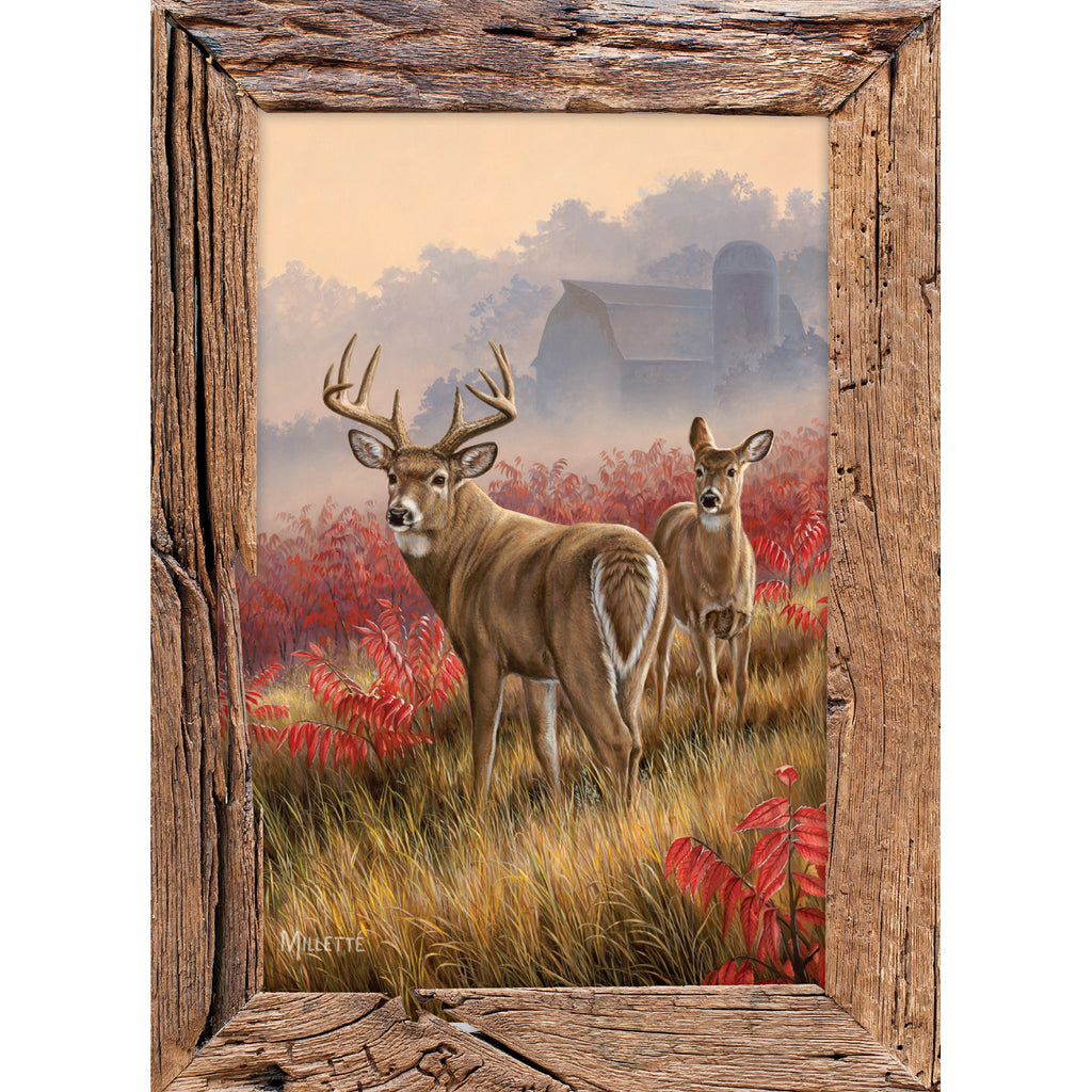Heartwarming Thoughts Whitetail Deer Birthday Boxed Cards 21340 – Good's  Store Online