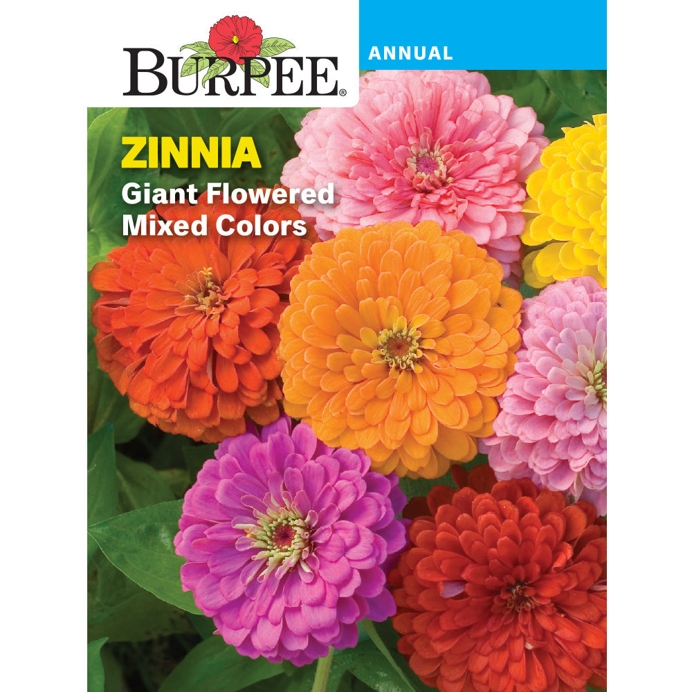 giant flower seeds Burpee Giant Zinnia Flower Seed Pack 44602 – Good's Store Online