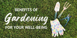 Benefits of Gardening for Your Well-Being