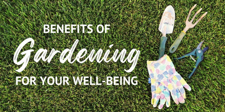 Benefits of Gardening for Your Well-Being