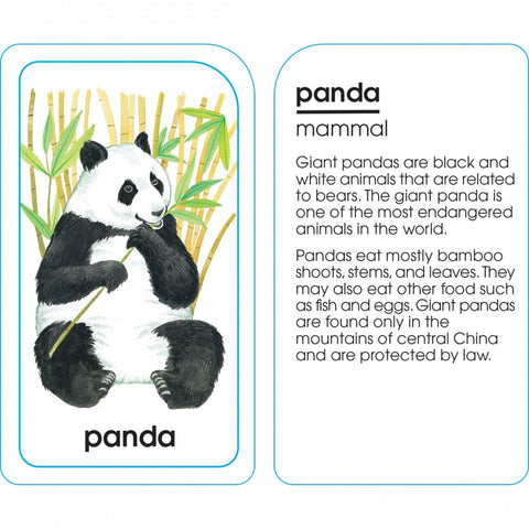 Assorted Animals Flash Cards 04012