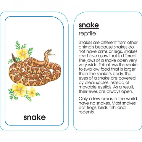 Assorted Animals Flash Cards 04012