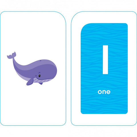 Numbers 0 to 25 Flash Cards 04022