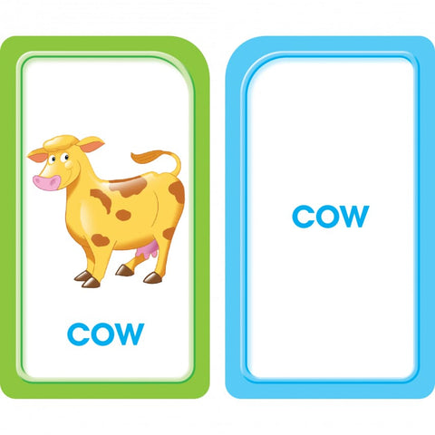 Picture Words Flash Cards 04024