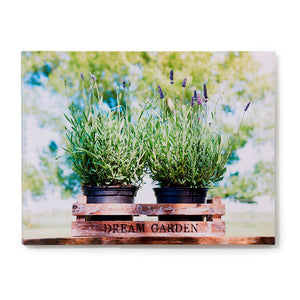 Lavender Outdoor Canvas Wall Print 095899
